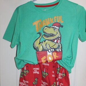 Cat & Jack (Target) Boys Dinosaur Christmas Pajama Set | Sz XL (16)